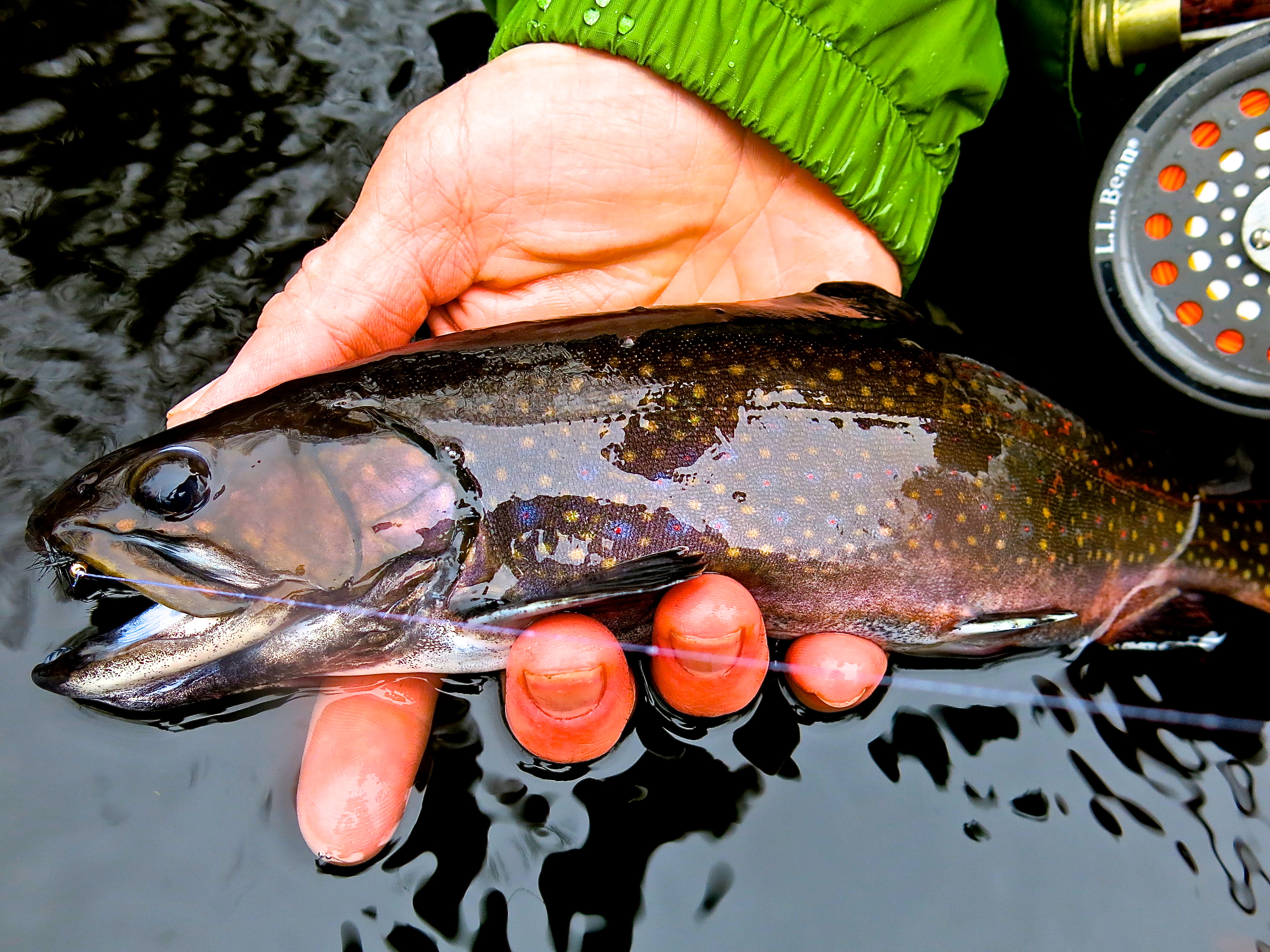 Trout Bite Continues To Be Great! – Baymen Guide Service, Inc. & Baymen  Charters